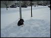 Lack of garage-179886_1706588859371_1077515725_31938478_8157324_n.jpg