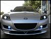 Calling all Sunlight Silvers-imagescak0lqyg.jpg