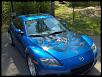 Calling all Winning Blues-picture-006-small-.jpg