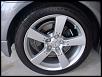 Painted calipers and rotors-100_0369a.jpg