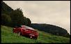 Calling all Velocity Reds-hx7b47to.jpg