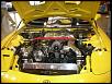 SevenStock 14 Pictures-ted-az-ylw-fd-1.jpg