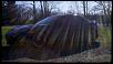 Calling All Brilliant Blacks-blacksunshine.jpg