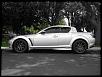 Calling all Sunlight Silvers-2012-1.jpg