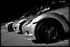 Calling all Sunlight Silvers-bm4.jpg