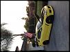 Calling all Lightning Yellows-image.jpg
