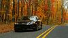 Calling All Brilliant Blacks-dsc01479a.jpg