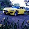 Calling all Lightning Yellows-image.jpg