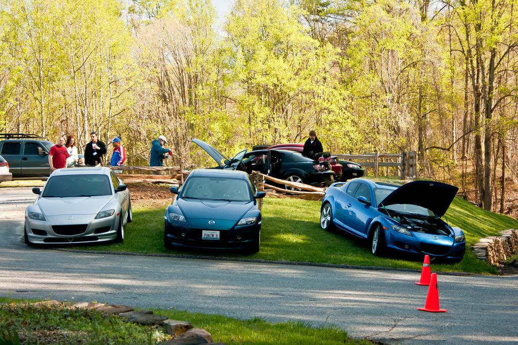 Name:  _MG_7818_zps685653b6.jpg
Views: 85
Size:  198.9 KB