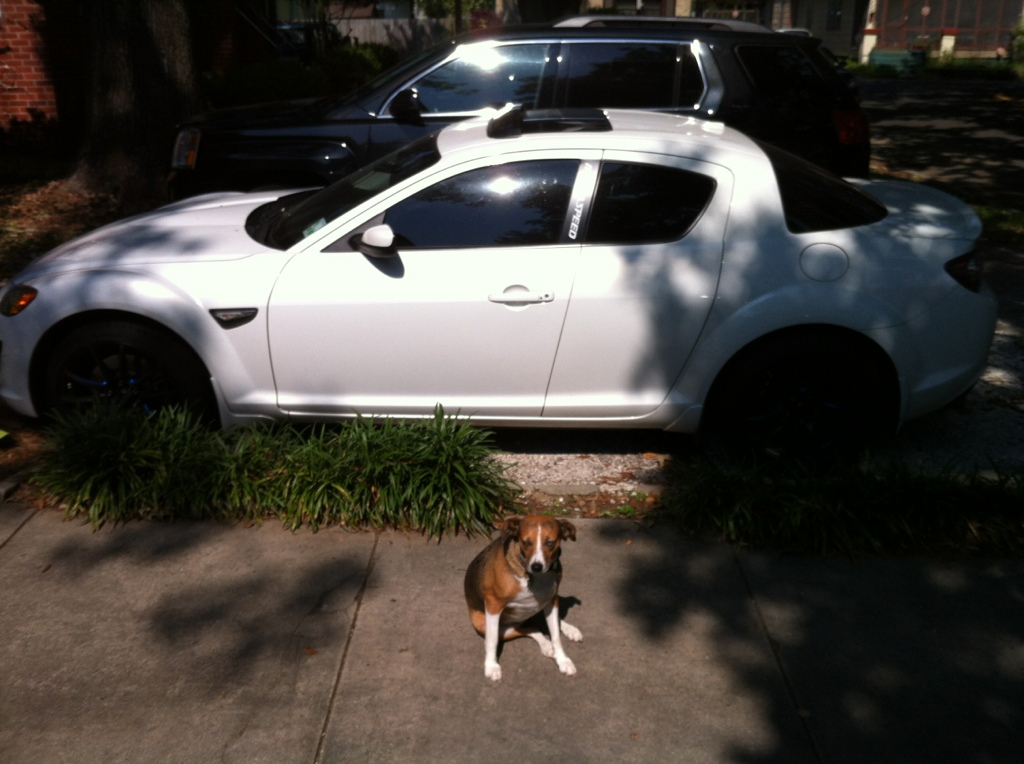 Name:  20a3d0bb.jpg
Views: 69
Size:  225.2 KB