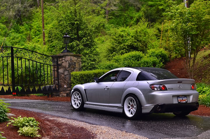 Name:  DSC_8835copy.jpg
Views: 103
Size:  133.6 KB