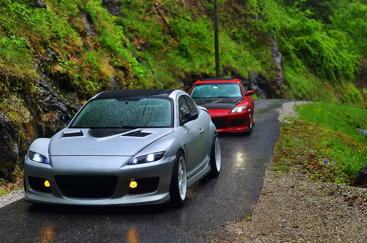 Name:  DSC_8815copy.jpg
Views: 94
Size:  123.1 KB