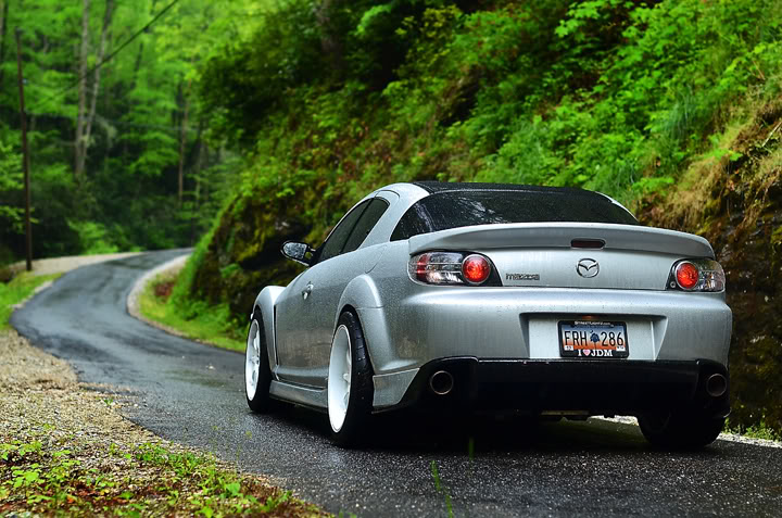 Name:  DSC_8831.jpg
Views: 109
Size:  105.6 KB