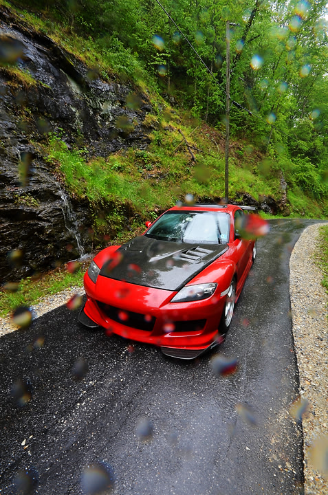 Name:  DSC_8799.jpg
Views: 62
Size:  215.9 KB