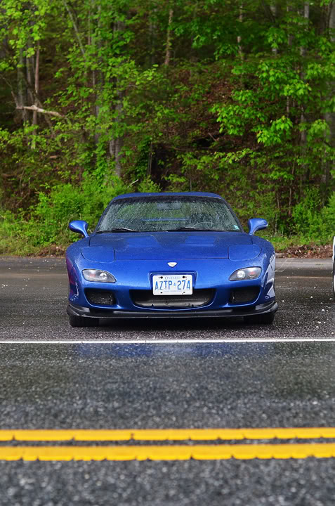 Name:  DSC_8622.jpg
Views: 69
Size:  103.4 KB