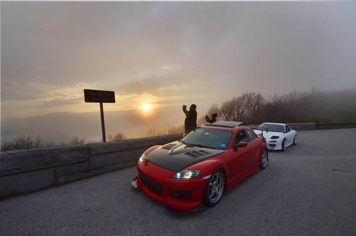 Name:  DSC_9204.jpg
Views: 64
Size:  37.0 KB