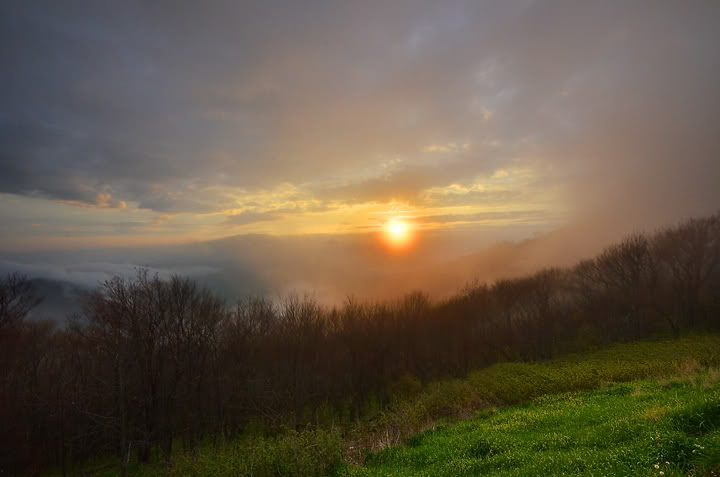 Name:  DSC_9202.jpg
Views: 53
Size:  39.9 KB