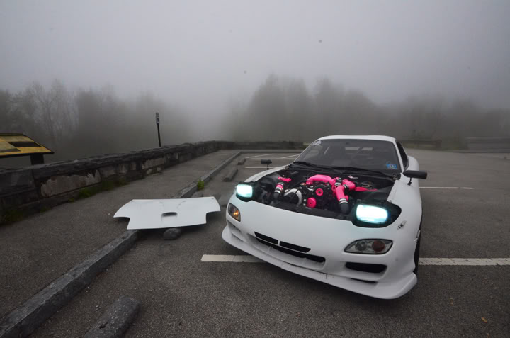 Name:  DSC_9152.jpg
Views: 58
Size:  46.6 KB