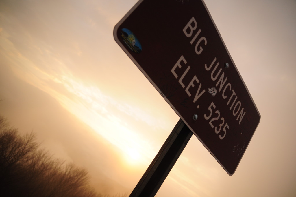 Name:  DSC_0263.jpg
Views: 88
Size:  93.9 KB