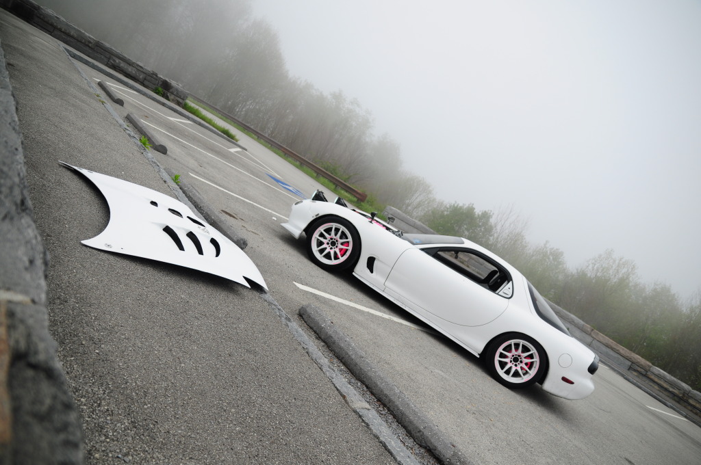 Name:  DSC_0203.jpg
Views: 99
Size:  195.0 KB