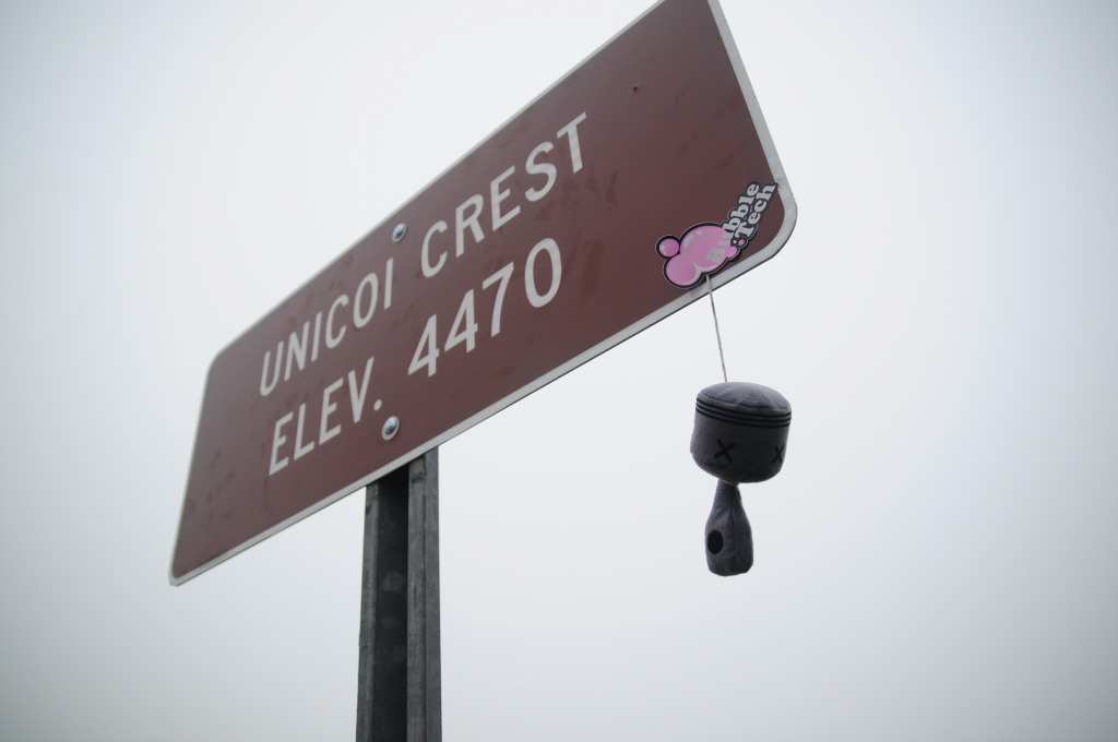 Name:  DSC_0211-1.jpg
Views: 88
Size:  68.3 KB