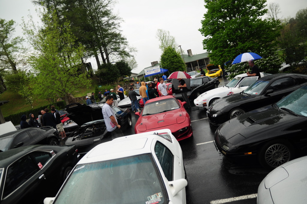 Name:  DSC_0131.jpg
Views: 89
Size:  259.3 KB