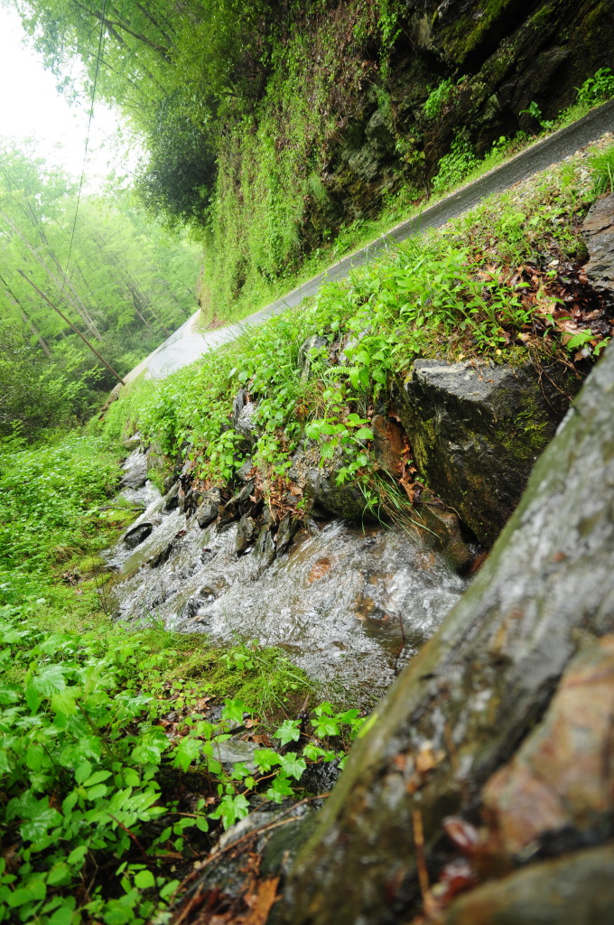 Name:  DSC_0175.jpg
Views: 93
Size:  375.8 KB