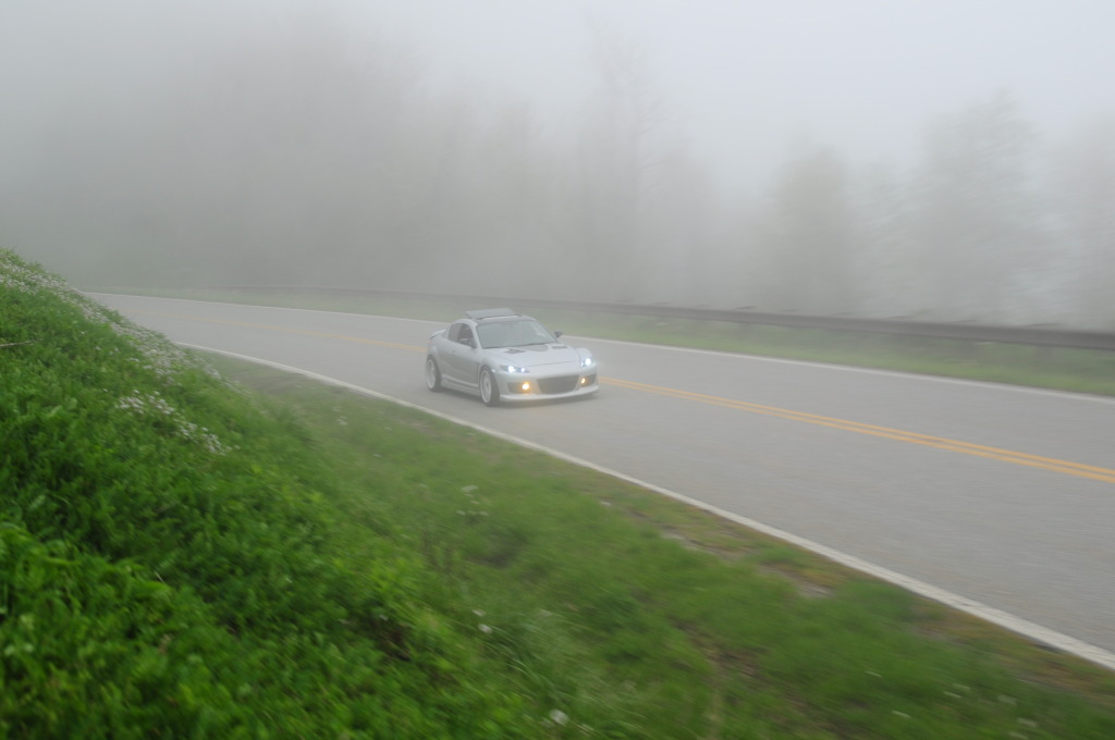 Name:  DSC_0248.jpg
Views: 88
Size:  107.2 KB