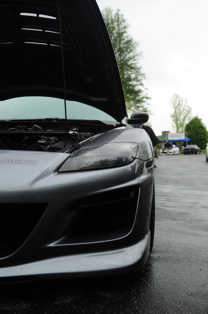 Name:  DSC_0095.jpg
Views: 97
Size:  140.9 KB