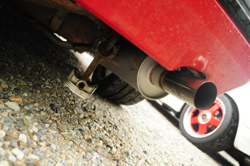 Name:  DSC_0113-1.jpg
Views: 102
Size:  202.5 KB