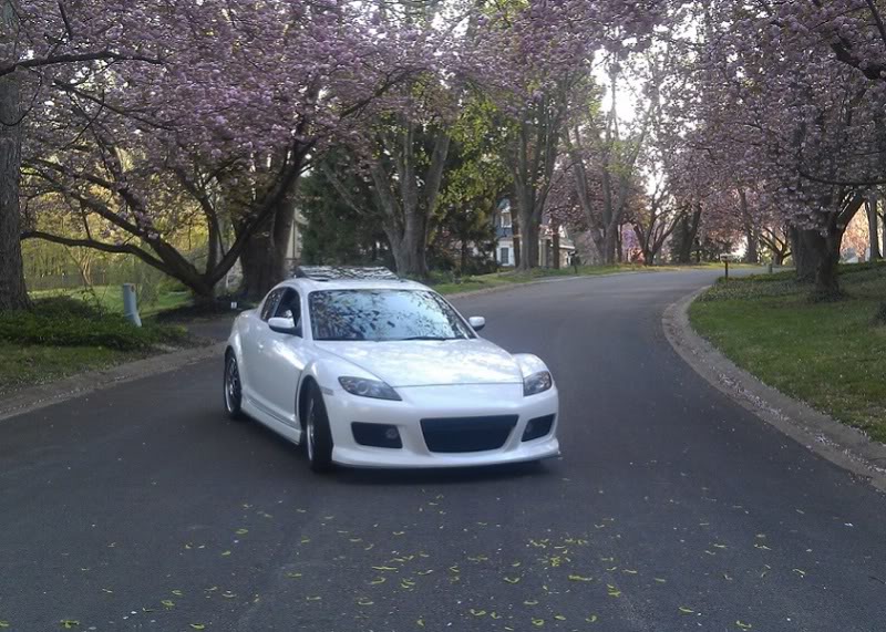 Name: rx8pic.jpg
Views: 152
Size: 120.4 KB