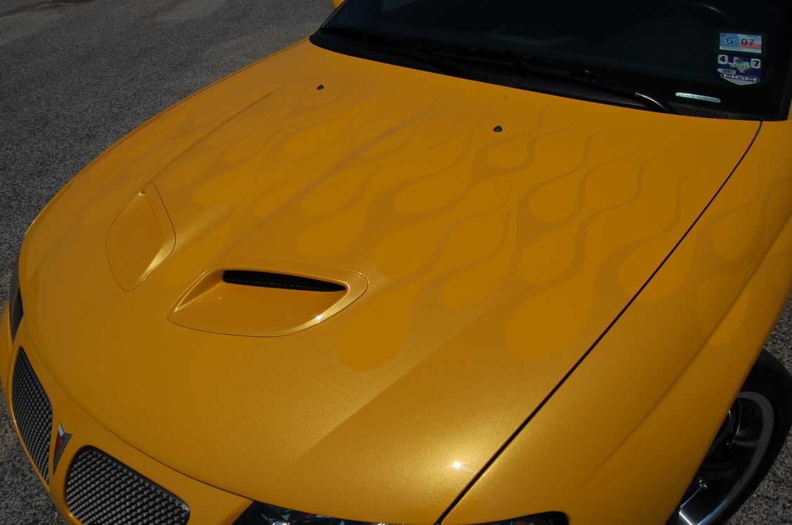 Name:  05GTOhood2.jpg
Views: 78
Size:  114.0 KB