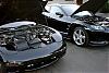 bat and tux meet-dsc02410a.jpg