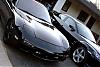 bat and tux meet-dsc02414a.jpg