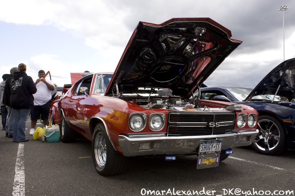 Name: IMG_0252copy.jpg
Views: 190
Size: 132.6 KB