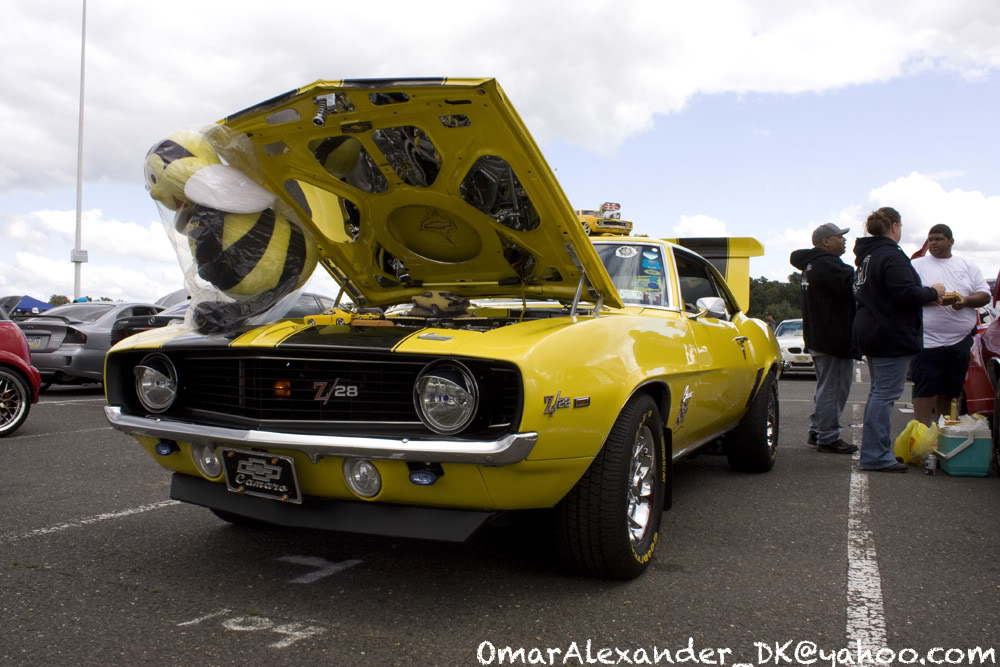 Name: IMG_0251copy.jpg
Views: 203
Size: 121.8 KB