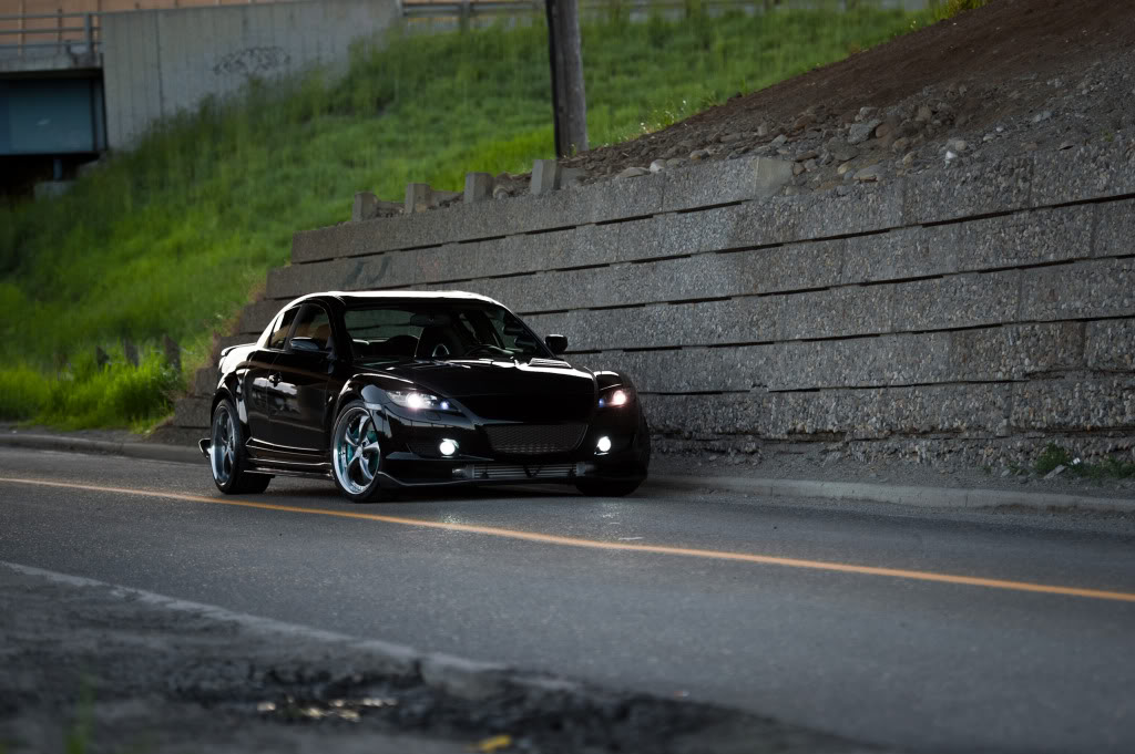 Name:  DSC_3595.jpg
Views: 112
Size:  123.0 KB