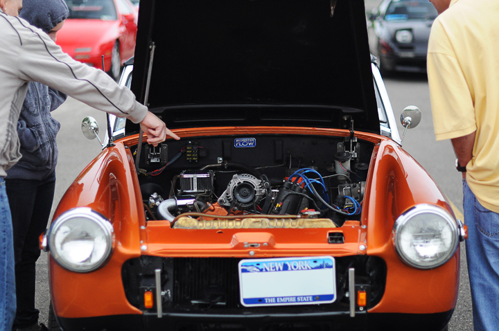 Name:  DSC_0117.jpg
Views: 84
Size:  338.0 KB