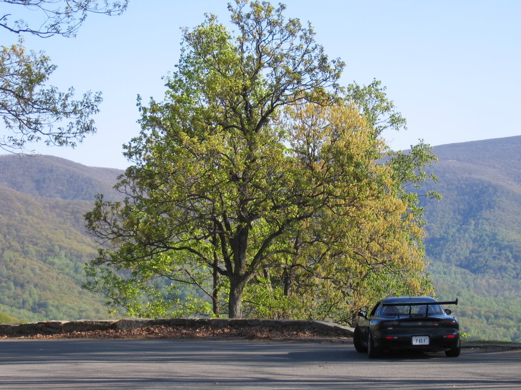 Name: SkylineDrive.jpg
Views: 125
Size: 250.1 KB