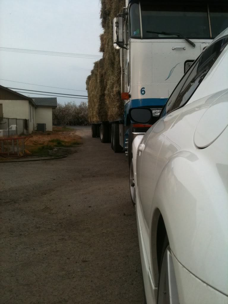 Name: photo20.jpg
Views: 148
Size: 89.0 KB
