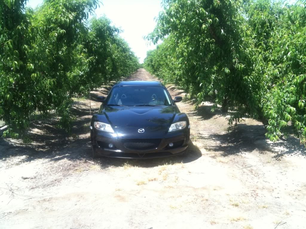 Name:  c320a023.jpg
Views: 53
Size:  178.3 KB