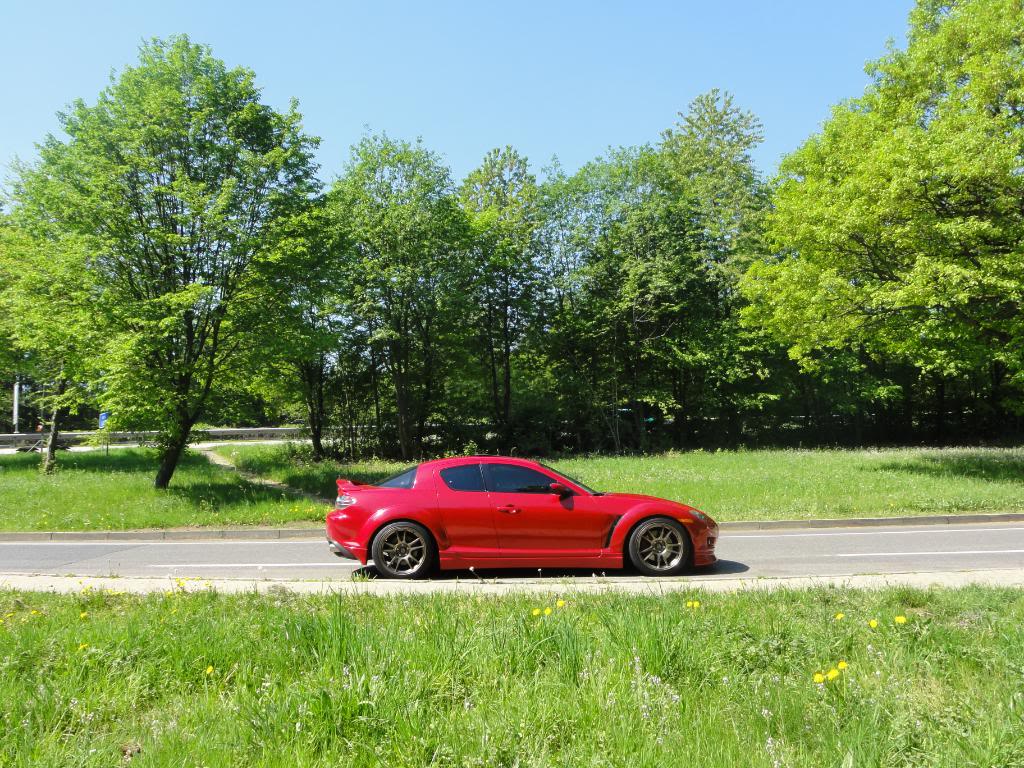 Name:  nurburgring047.jpg
Views: 74
Size:  215.7 KB