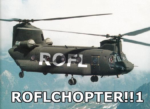 Name:  ROFLCOPTER.png
Views: 58
Size:  271.5 KB