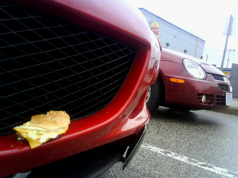 Name:  8cheezeburger.jpg
Views: 60
Size:  79.7 KB