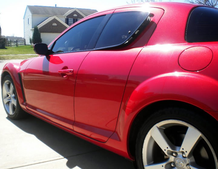 Name:  REX8tint2.jpg
Views: 67
Size:  83.6 KB