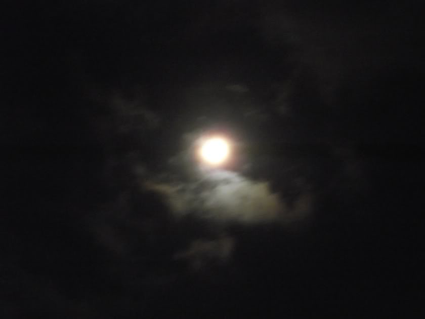 Name:  Moon2011015-1.jpg
Views: 47
Size:  14.7 KB