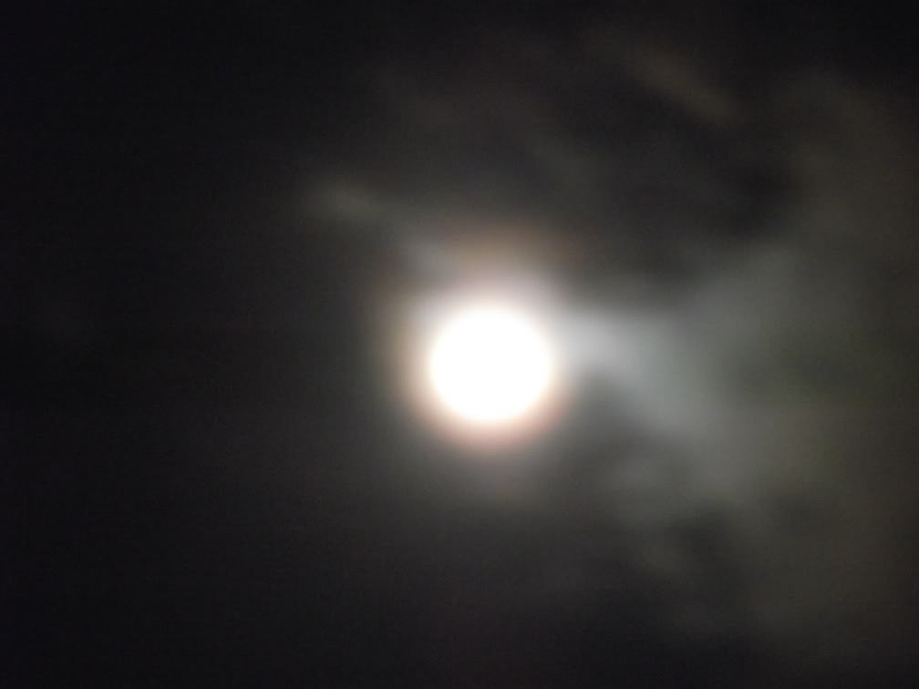 Name:  Moon2011017.jpg
Views: 47
Size:  25.1 KB