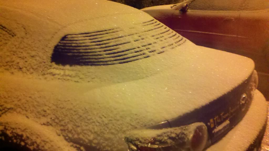 Name:  Snow17.jpg
Views: 155
Size:  83.4 KB