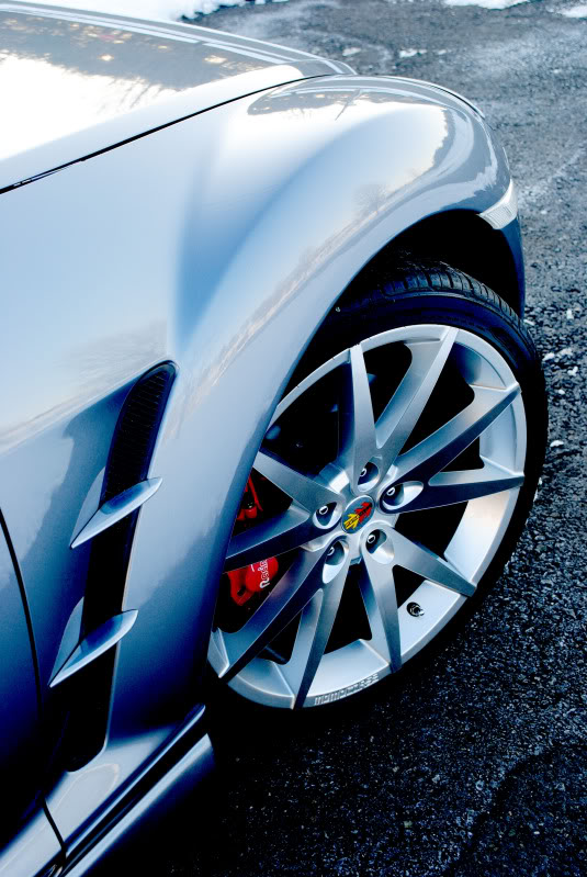 Name:  DSC_0007-edit.jpg
Views: 544
Size:  117.0 KB