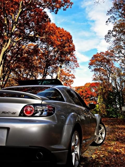 Name:  Leafs.jpg
Views: 157
Size:  125.8 KB